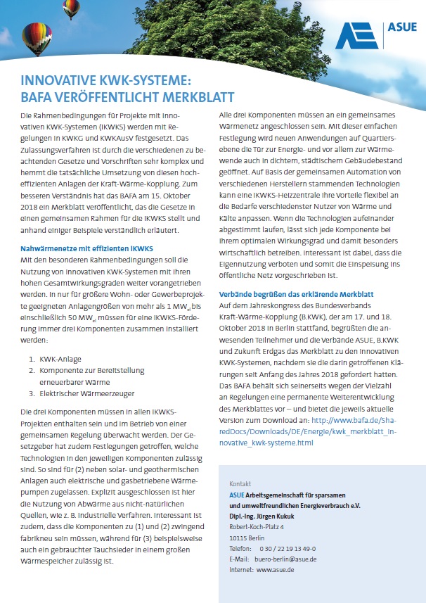 BAFA-Merkblatt fuer innovative KWK-System herunterladen
